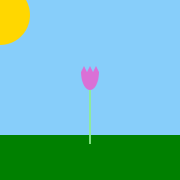 Flower image